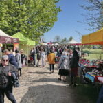 Festiwal Smaków / Marzena Mąkosa / Radio Kielce