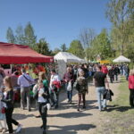 Festiwal Smaków / Marzena Mąkosa / Radio Kielce
