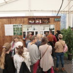 Kielce. Rolkowisko i wrotkowisko na Telegrafie / Marzena Mąkosa / Radio Kielce