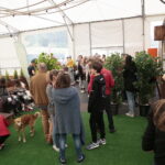 Kielce. Rolkowisko i wrotkowisko na Telegrafie / Marzena Mąkosa / Radio Kielce