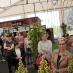 Kielce. Rolkowisko i wrotkowisko na Telegrafie / Marzena Mąkosa / Radio Kielce