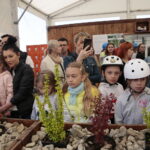 Kielce. Rolkowisko i wrotkowisko na Telegrafie / Marzena Mąkosa / Radio Kielce