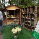 Retro Piknik w Parku Miejskim / Marzena Mąkosa / Radio Kielce