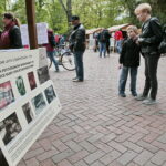 Retro Piknik w Parku Miejskim / Marzena Mąkosa / Radio Kielce