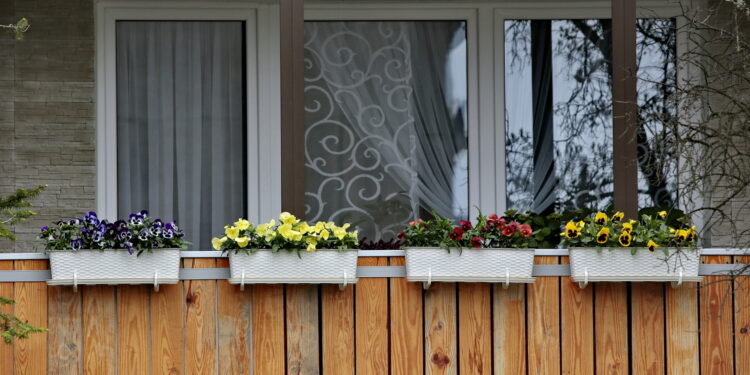 Kwiaty na balkonach / Marzena Mąkosa / Radio Kielce