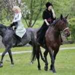 Oblęgorek. 173. rocznica urodzin Henryka Sienkiewicza / Marzena Mąkosa / Radio Kielce