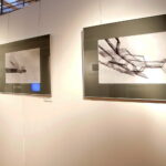 "Winda" - wystawa "A to my" / Marzena Mąkosa / Radio Kielce