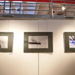 "Winda" - wystawa "A to my" / Marzena Mąkosa / Radio Kielce