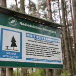 Cedzyna. Zbiornik wodny / Marzena Mąkosa / Radio Kielce