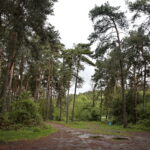 Cedzyna. Zbiornik wodny / Marzena Mąkosa / Radio Kielce