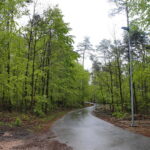 Cedzyna. Zbiornik wodny / Marzena Mąkosa / Radio Kielce