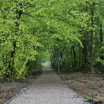 Cedzyna. Zbiornik wodny / Marzena Mąkosa / Radio Kielce