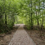 Cedzyna. Zbiornik wodny / Marzena Mąkosa / Radio Kielce