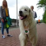 Ostrowiec Świętokrzyski. I Bieg Charytatywny Ostrobiec po szczęście / Emilia Sitarska / Radio Kielce