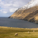 Wyspy Owcze / Kuba Witek