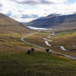 Wyspy Owcze / Kuba Witek