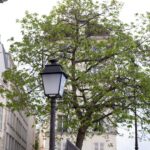 Spacer po Paryżu / Krzysztof Bujnowicz / Radio Kielce