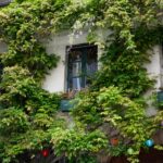 Spacer po Paryżu / Krzysztof Bujnowicz / Radio Kielce