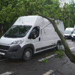 Kielce. Konar drzewa spadł na auto jadące ulicą Jesionową / Grzegorz Król