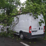 Kielce. Konar drzewa spadł na auto jadące ulicą Jesionową / Grzegorz Król