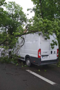 Kielce. Konar drzewa spadł na auto jadące ulicą Jesionową / Grzegorz Król