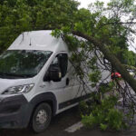 Kielce. Konar drzewa spadł na auto jadące ulicą Jesionową / Grzegorz Król
