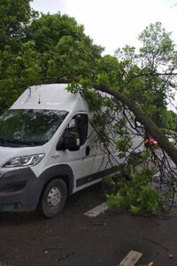 Kielce. Konar drzewa spadł na auto jadące ulicą Jesionową / Grzegorz Król