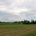 Maszt telefonii komórkowej / Emilia Sitarska / Radio Kielce