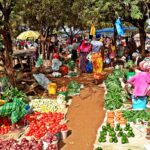 Scyzoryki wzdłuż Afryki / L. Pisarski, K. Skoczek, J. Słowak, Sz. Flak, W. Matejczuk