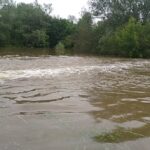 Sulejów. Wisła / Emilia Sitarska / Radio Kielce