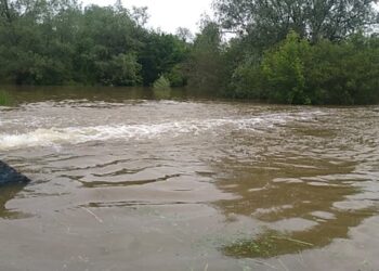 Sulejów. Wisła / Emilia Sitarska / Radio Kielce