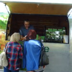 Piknik rodzinny z wystawą królików / Emilia Sitarska / Radio Kielce