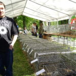 Piknik rodzinny z wystawą królików / Emilia Sitarska / Radio Kielce