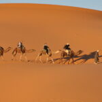 Maroko.  / Małgorzata Anna Jóźwiak i Marek Jóźwiak