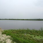 Pińczów. Zalew / Kamil Włosowicz / Radio Kielce