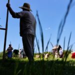 zaprasza skansen w Tokarni