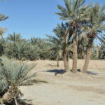 Maroko. / Małgorzata Anna Jóźwiak i Marek Jóźwiak