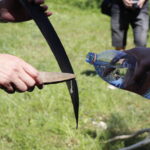 Dawne tradycje - sianokosy. / Stanisław Blinstrub / Radio Kielce