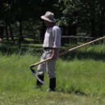 Dawne tradycje - sianokosy. / Stanisław Blinstrub / Radio Kielce