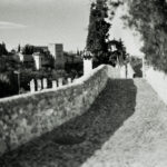 Andaluzja / Dominika Zaręba