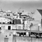 Andaluzja / Dominika Zaręba