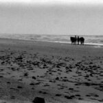 Andaluzja / Dominika Zaręba