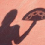 Andaluzja / Dominika Zaręba