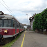 700 lat historii, a w niej znakomite postaci