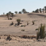 Maroko.  / Małgorzata Anna Jóźwiak i Marek Jóźwiak