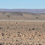 Maroko. / Małgorzata Anna Jóźwiak i Marek Jóźwiak