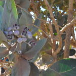 Maroko.  / Małgorzata Anna Jóźwiak i Marek Jóźwiak