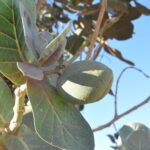 Maroko.  / Małgorzata Anna Jóźwiak i Marek Jóźwiak