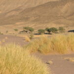 Maroko.  / Małgorzata Anna Jóźwiak i Marek Jóźwiak