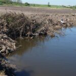 10.05.2016 Zanieczyszczona rzeka Nida w powiecie pińczowskim / Paweł Klepka / Radio Kielce